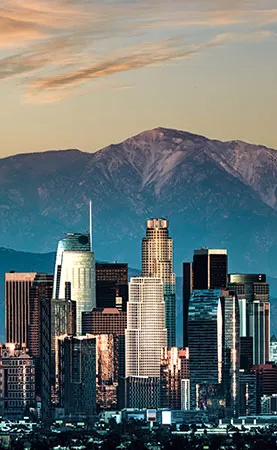 los angeles thumb